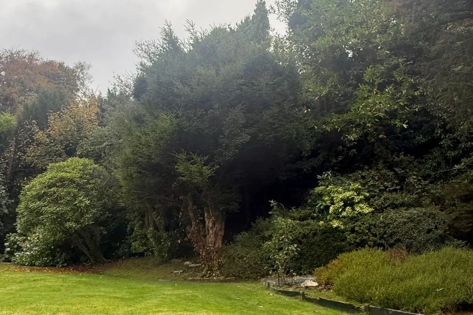 A neatly cut lawn and tidy garden kept in top condition by Oasis.